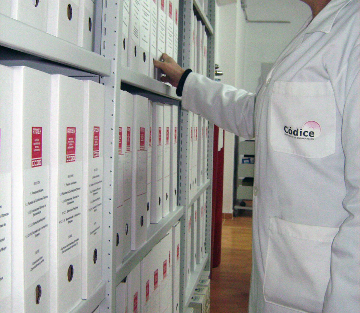 140-Amoex_Archivo_Codice2