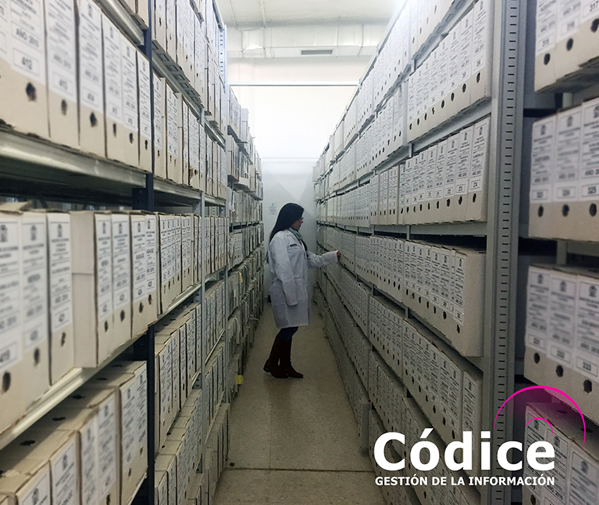 91-CodiceCatastro2017